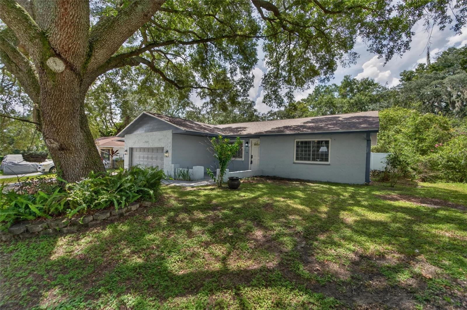1229 Oak Valley Dr Property Photo 7