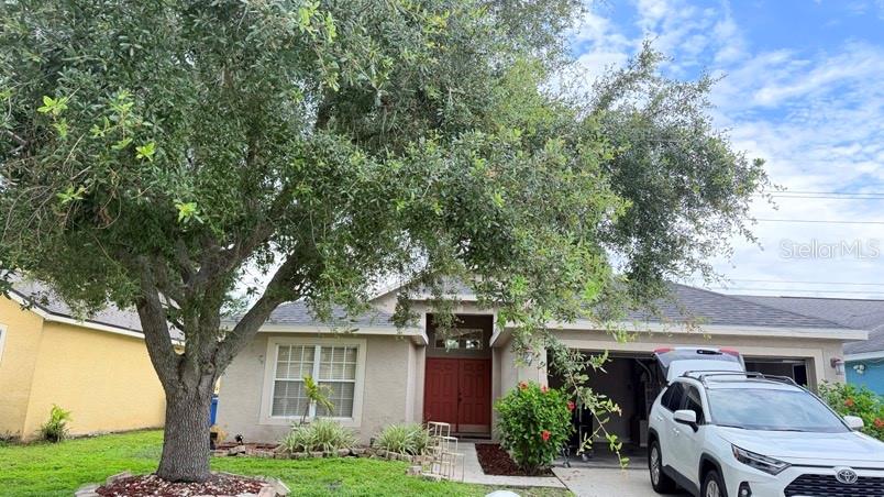 1120 VINETREE DR Property Photo 1
