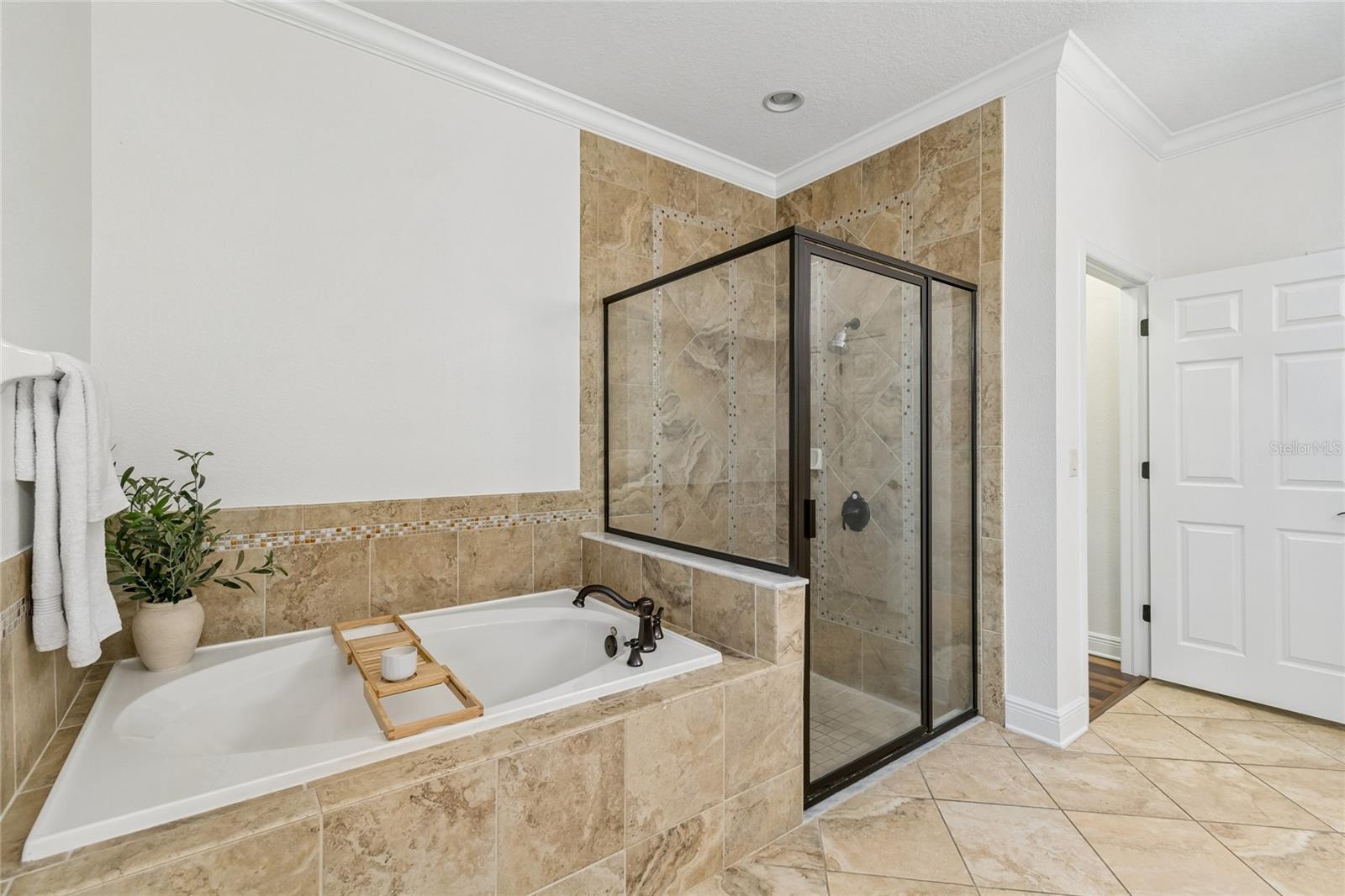 1657 Feather Grass Loop Property Photo 35