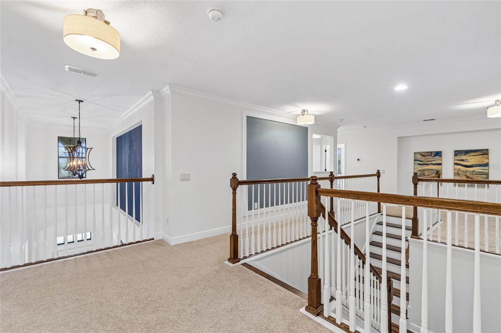 1657 Feather Grass Loop Property Photo 51