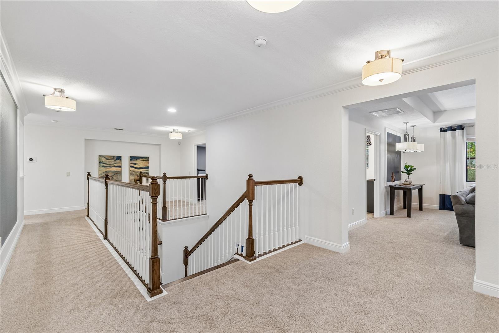 1657 Feather Grass Loop Property Photo 52