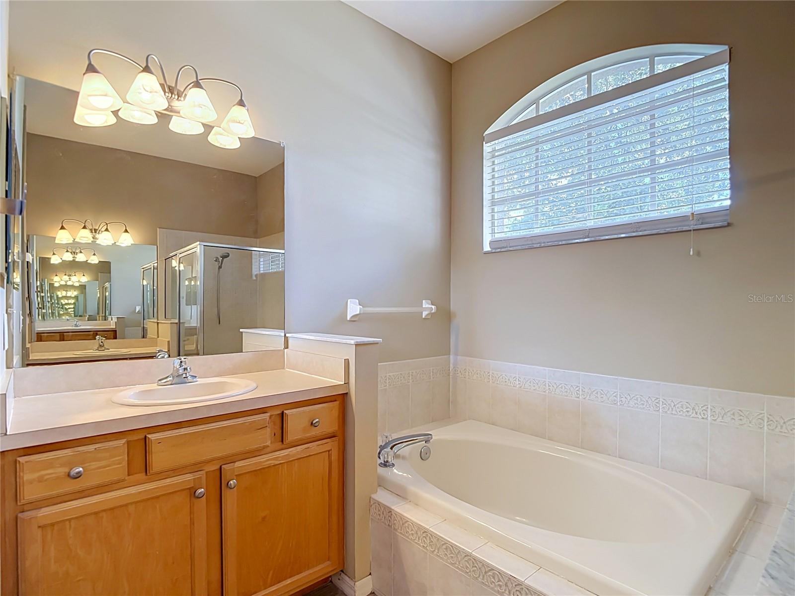 2866 Duncan Tree Cir Property Photo 14