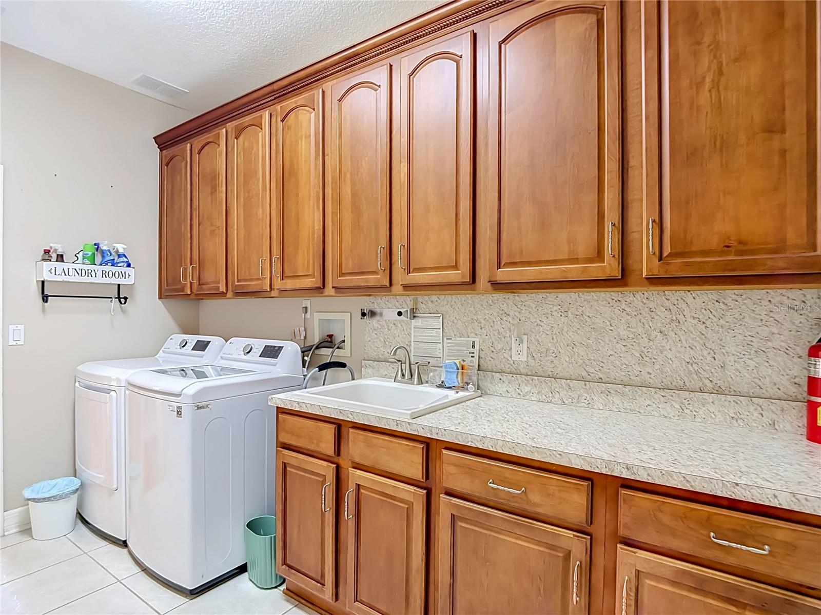 16215 Ivy Lake Dr Property Photo 41