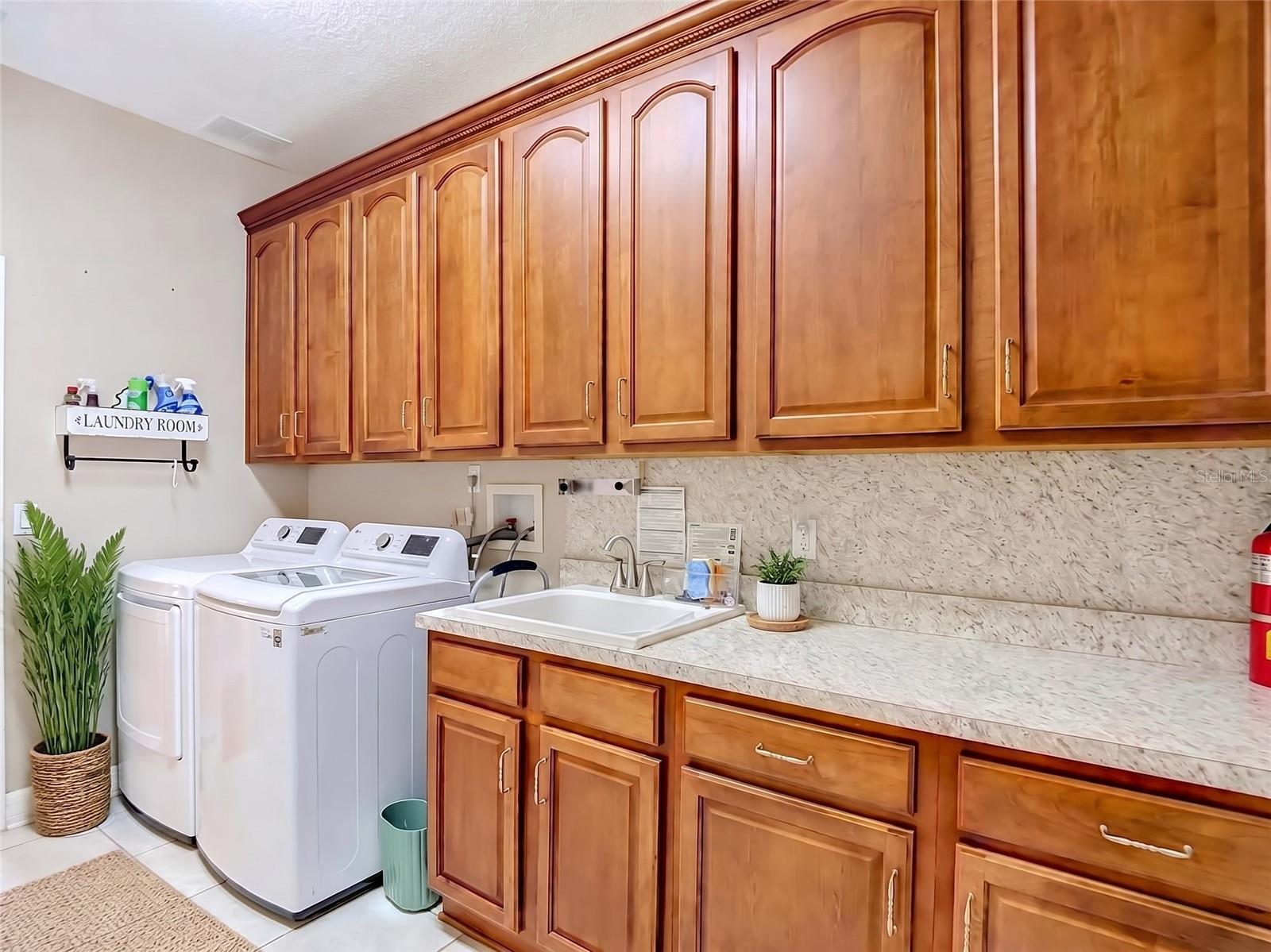 16215 Ivy Lake Dr Property Photo 42