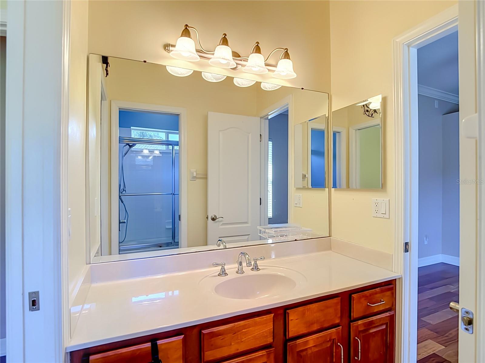 16215 Ivy Lake Dr Property Photo 44