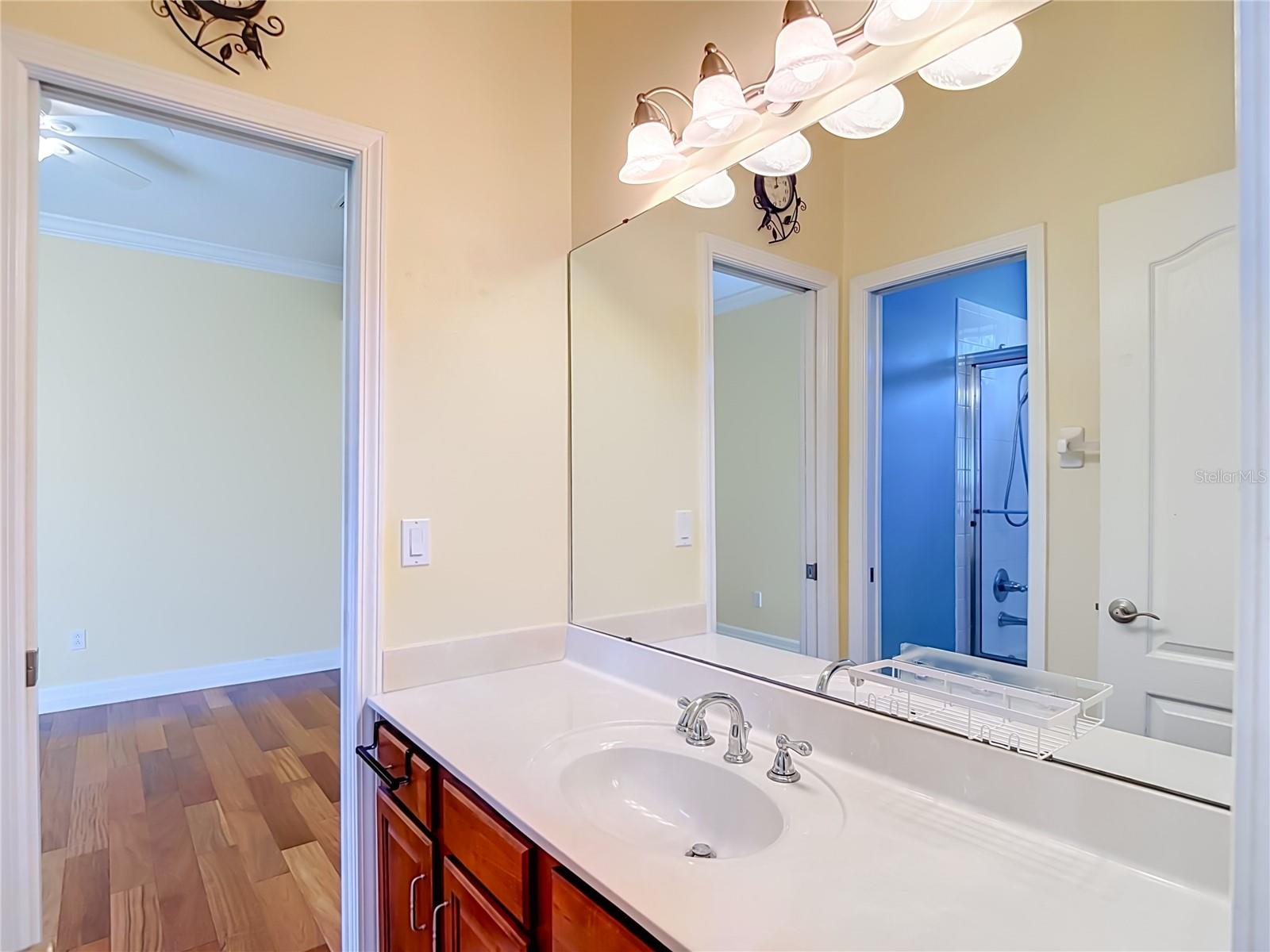 16215 Ivy Lake Dr Property Photo 48