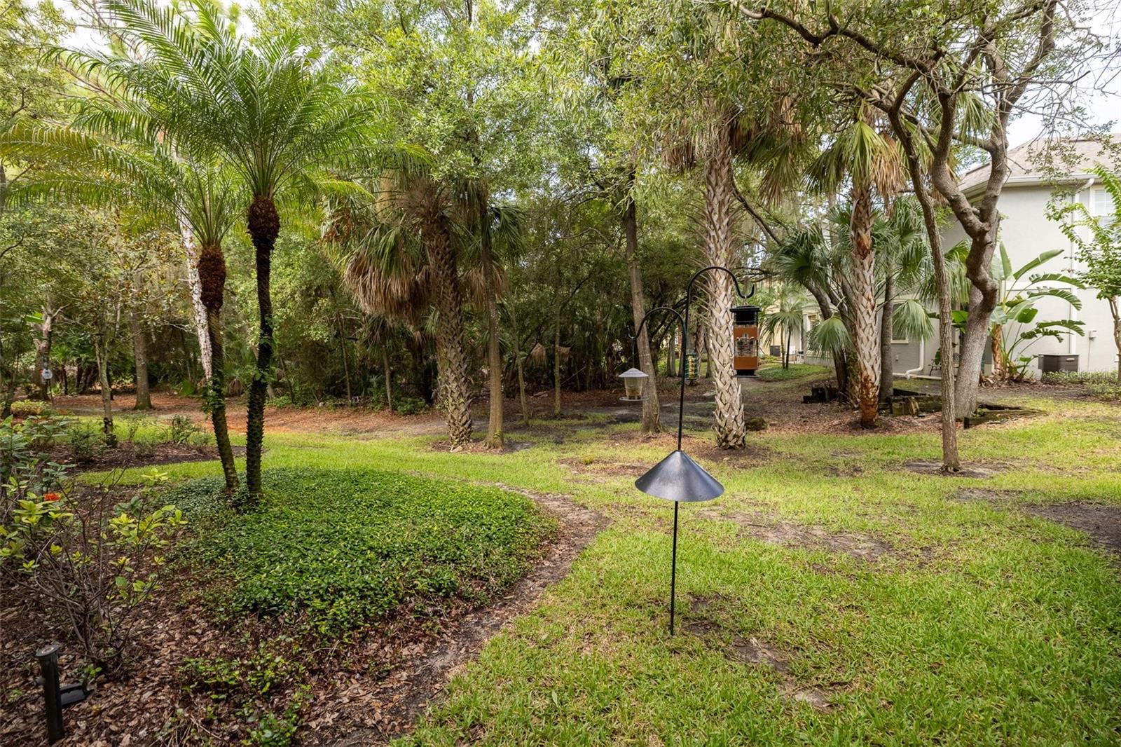 6717 Eagle Feather Dr Property Photo 26