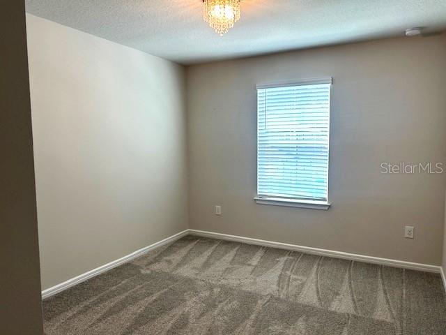 21051 Monza Loop Property Photo 34