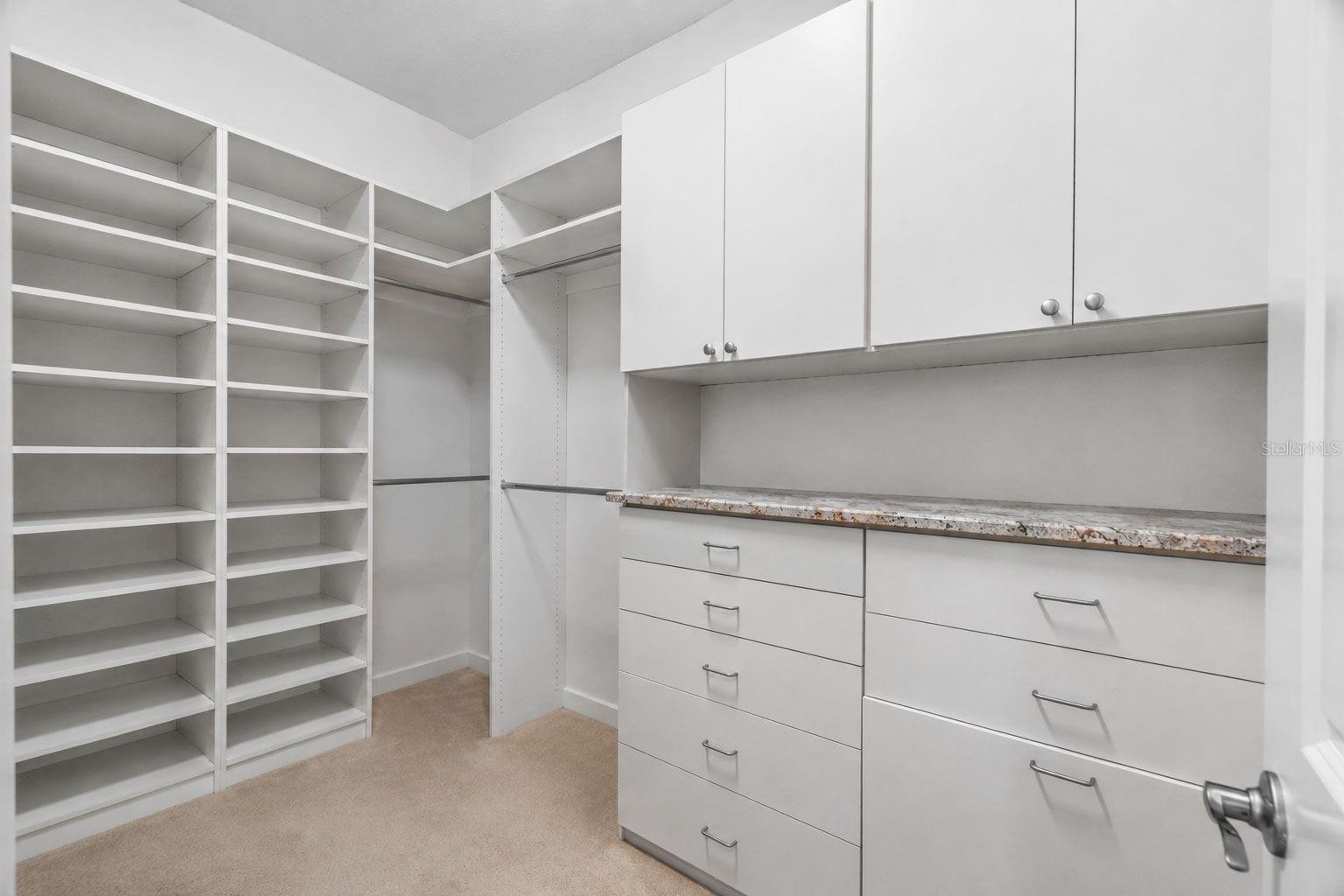 30581 Ivy Forge Ct Property Photo 31
