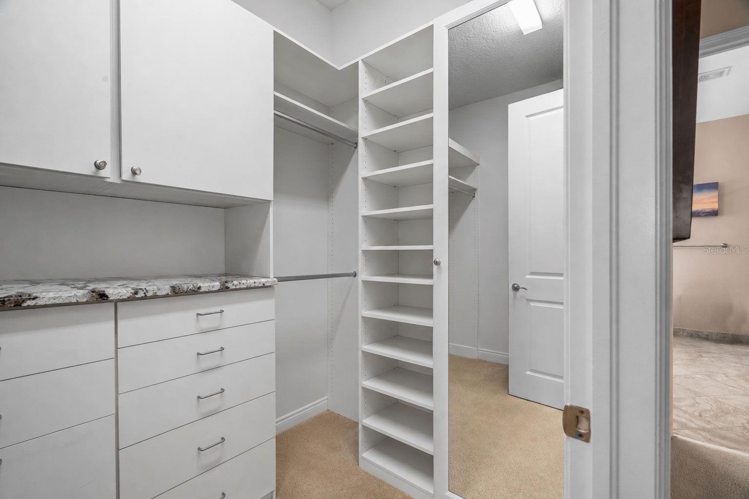 30581 Ivy Forge Ct Property Photo 32