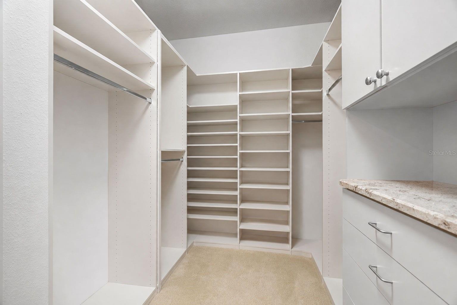 30581 Ivy Forge Ct Property Photo 33