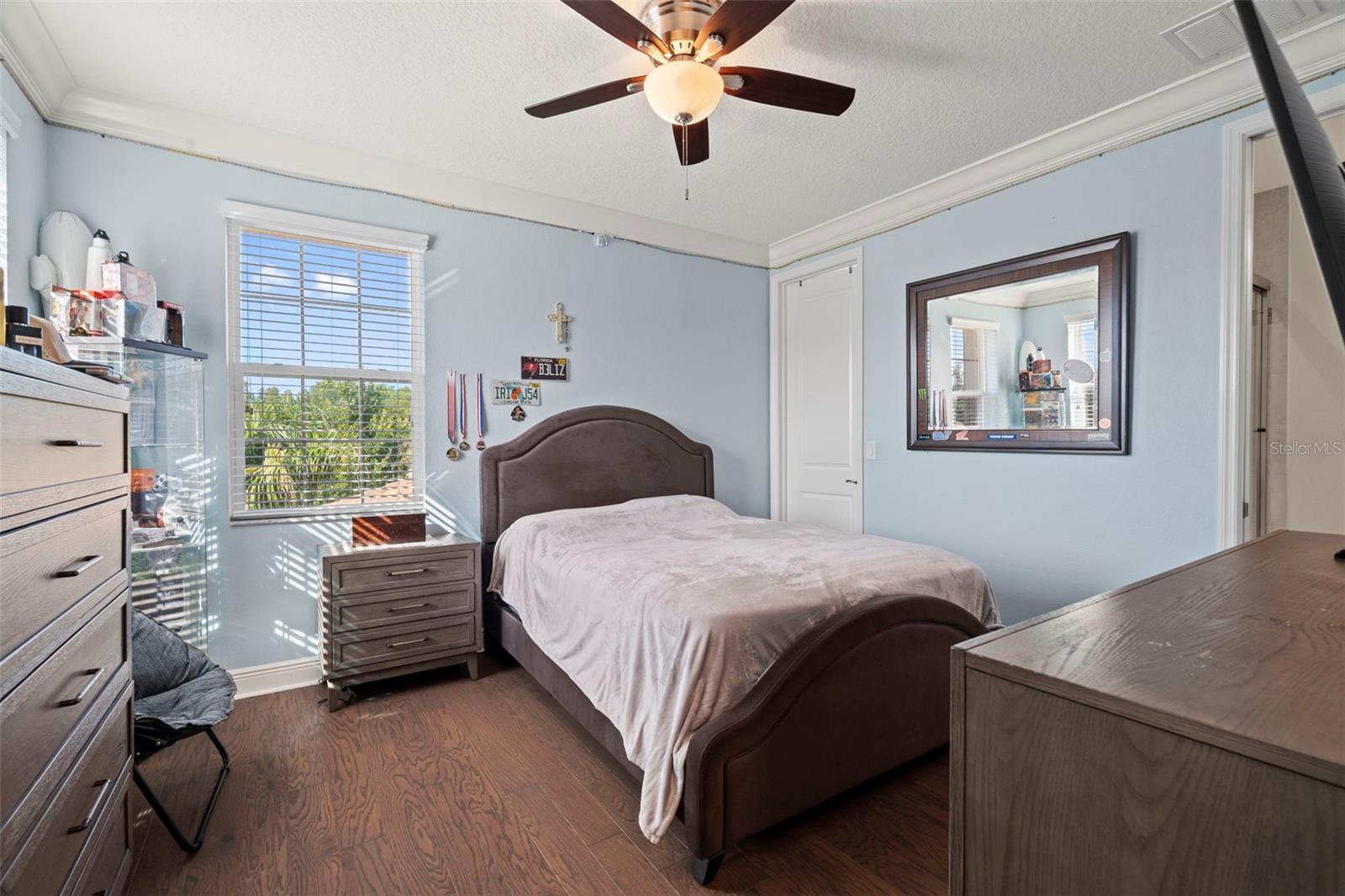 30581 Ivy Forge Ct Property Photo 45