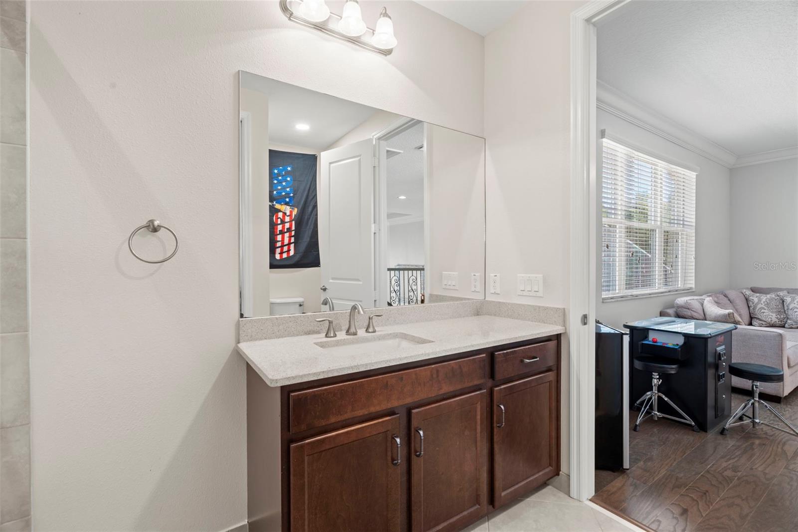 30581 Ivy Forge Ct Property Photo 47