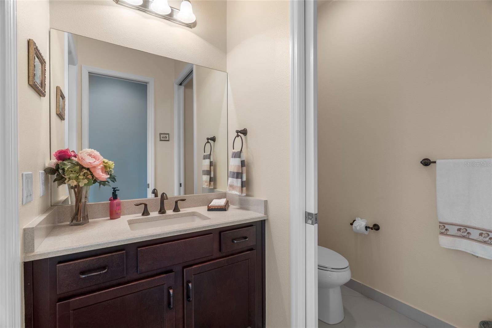 30581 Ivy Forge Ct Property Photo 55