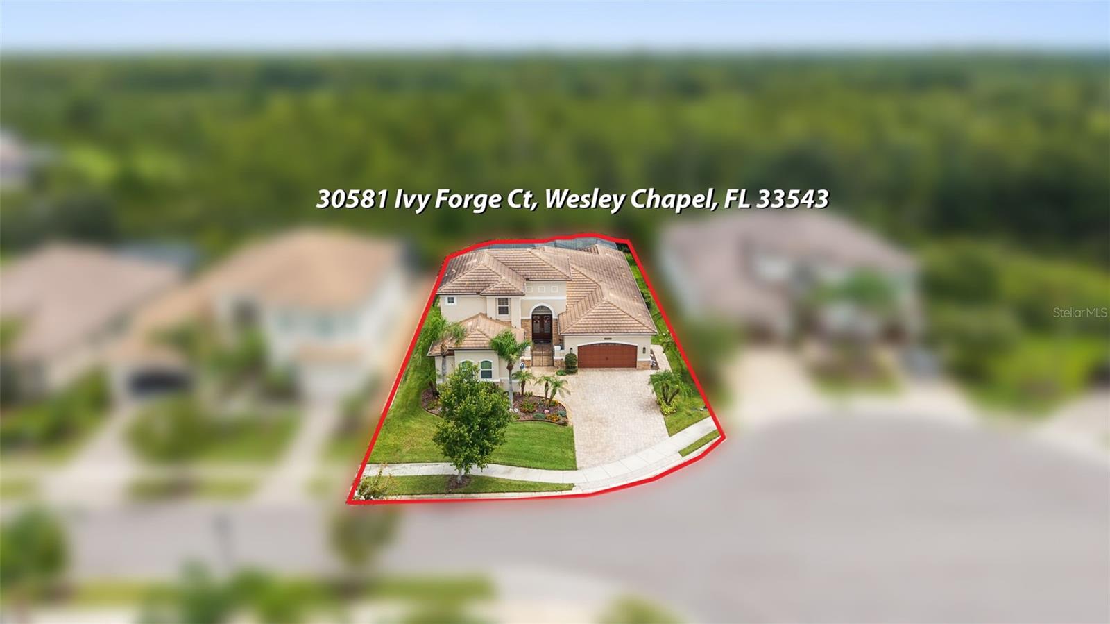 30581 Ivy Forge Ct Property Photo 60