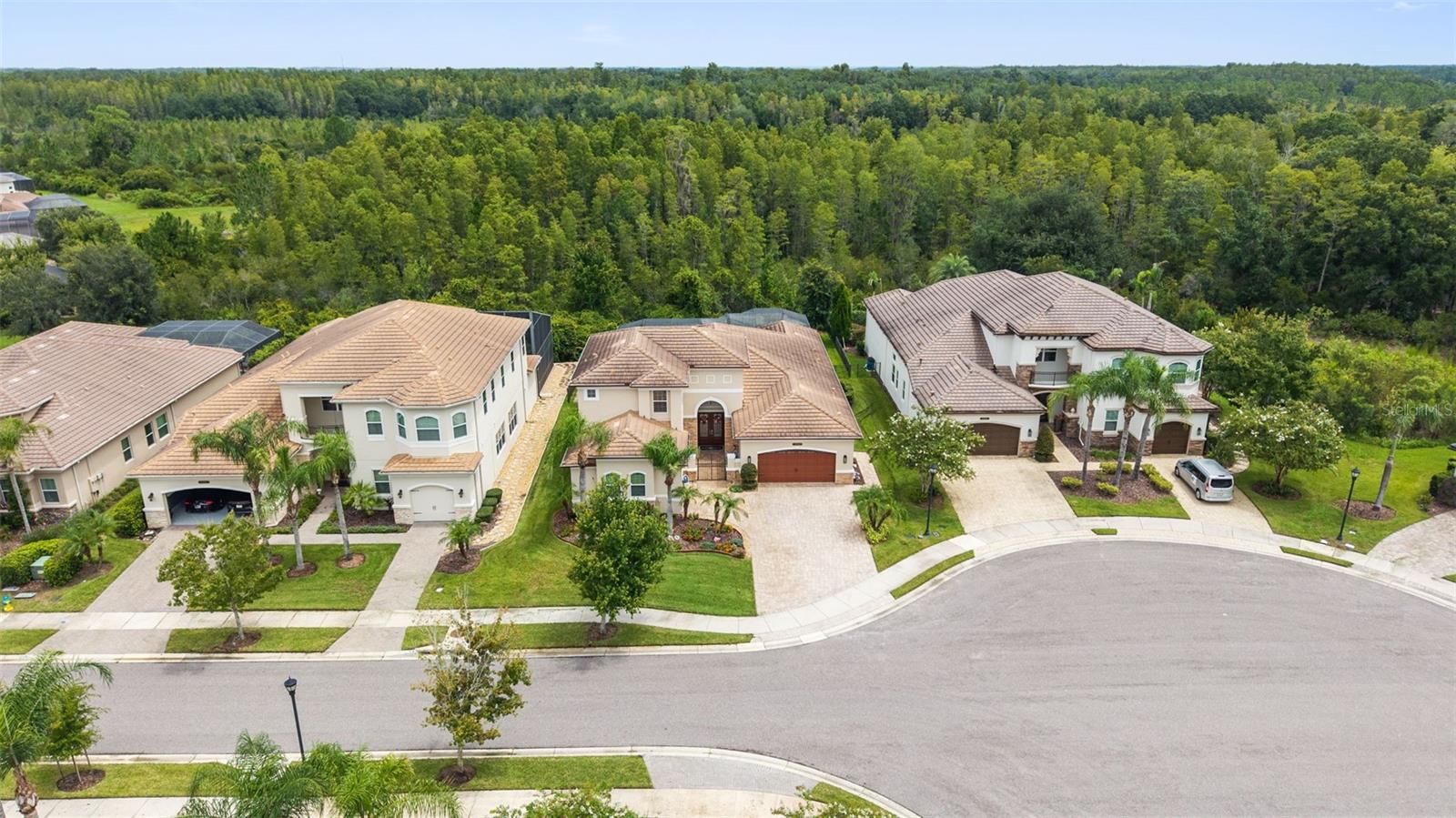 30581 Ivy Forge Ct Property Photo 63