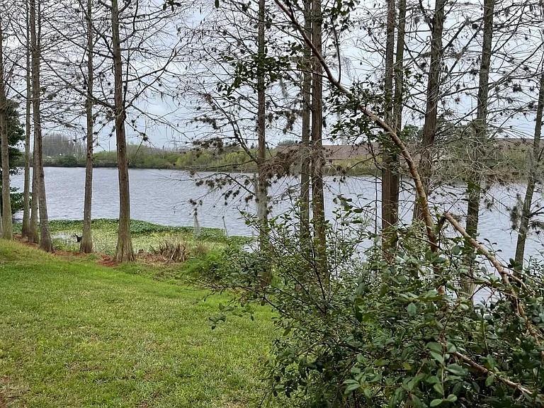 3449 Heron Island Dr Property Photo 5