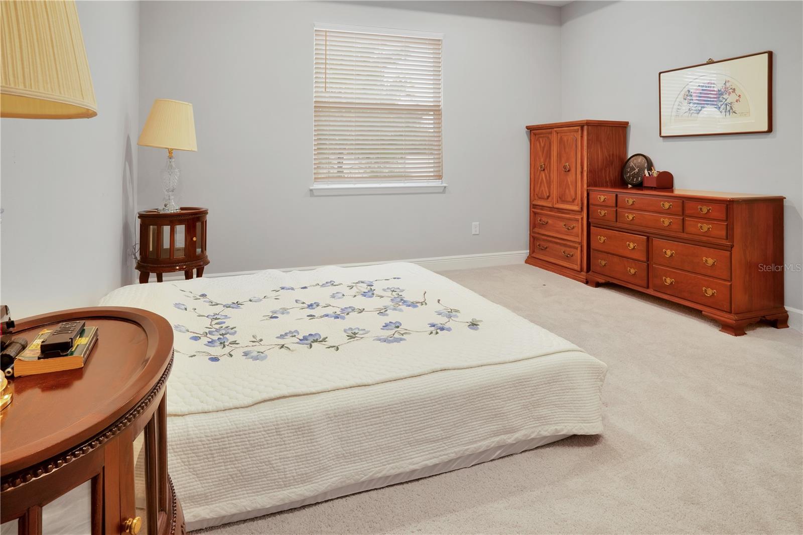 23278 Scaglione Dr Property Photo 19