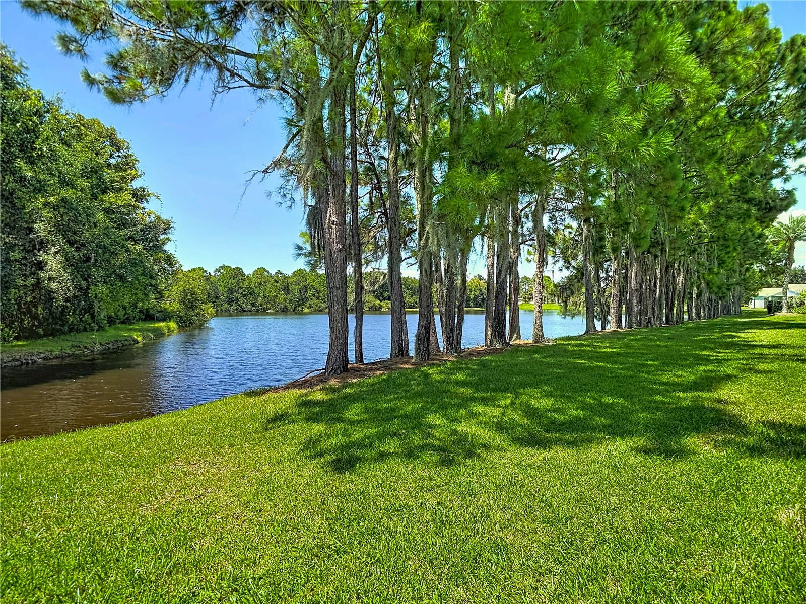 1535 Morning Rose Pl Property Photo 62