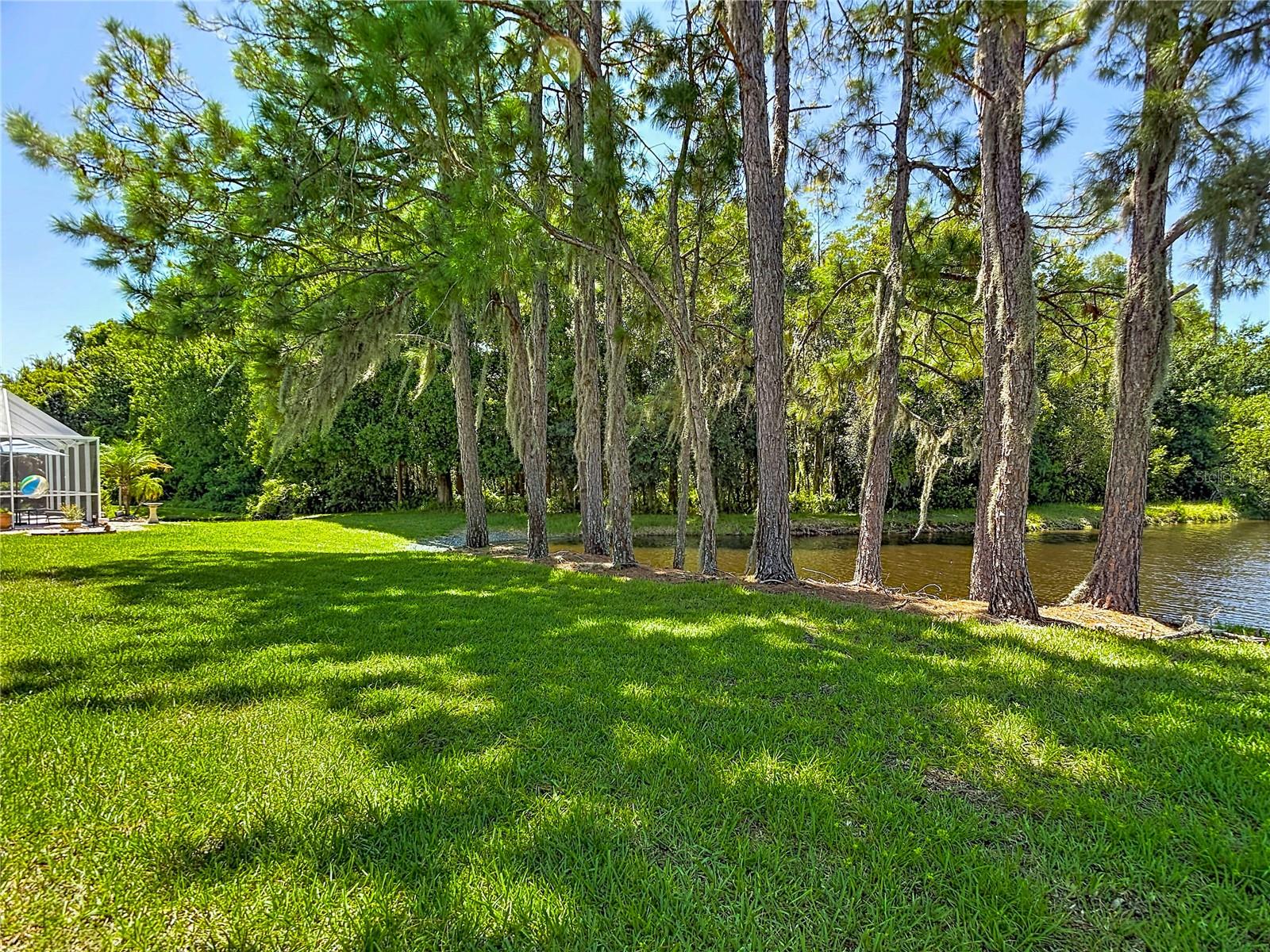 1535 Morning Rose Pl Property Photo 64