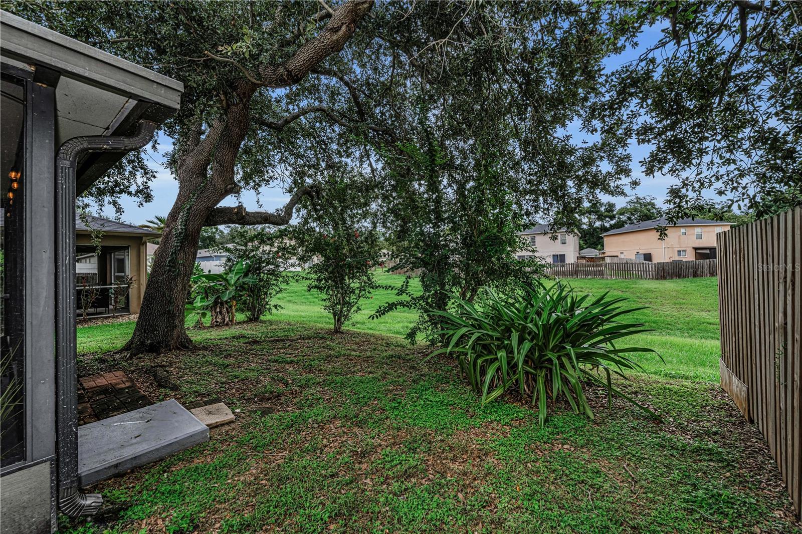 5229 Mango Fruit St Property Photo 35