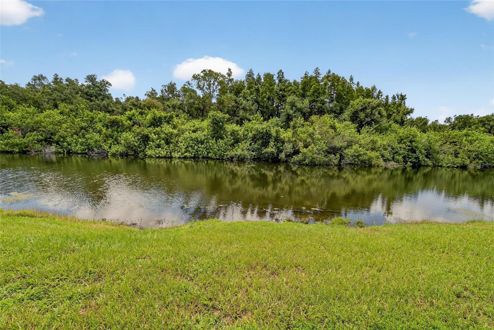 8435 Hunters Fork Loop Property Photo 13