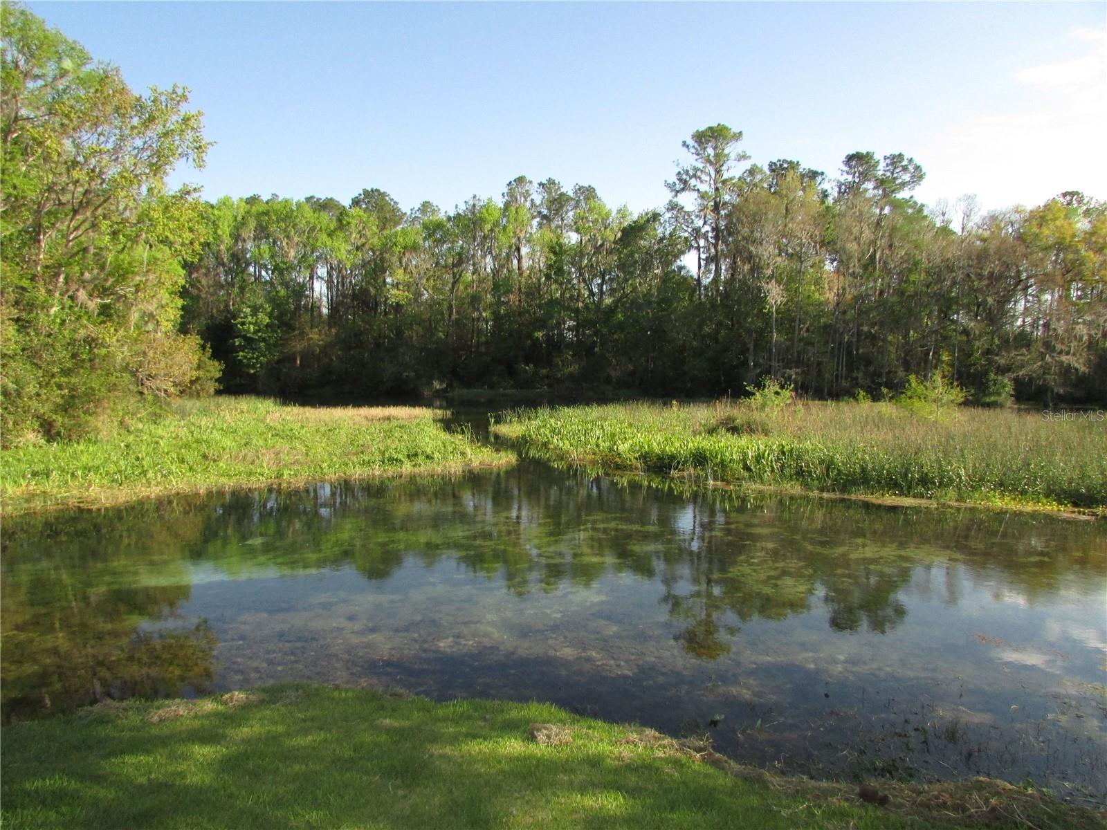 18902 Sw 108th Loop Property Photo 34