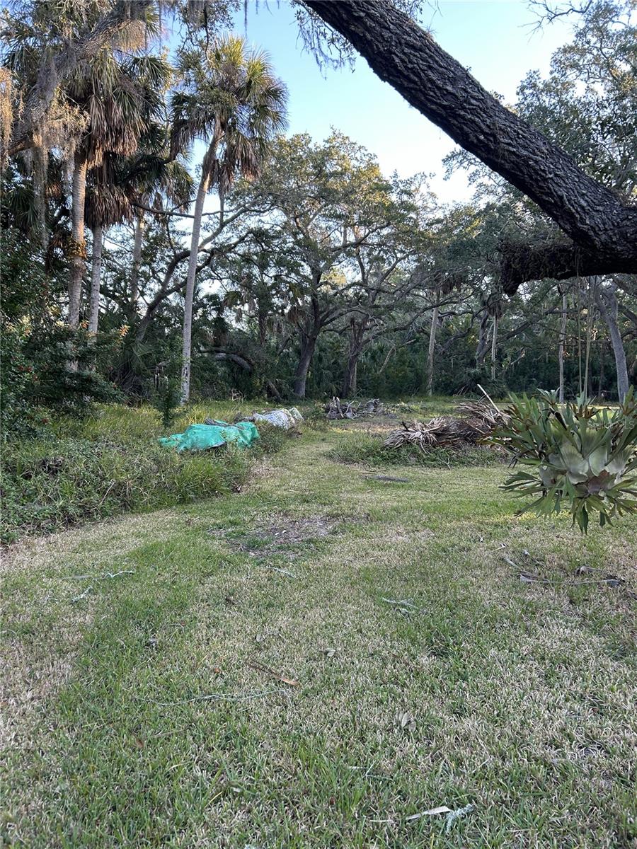 14428 Guava St Property Photo 5