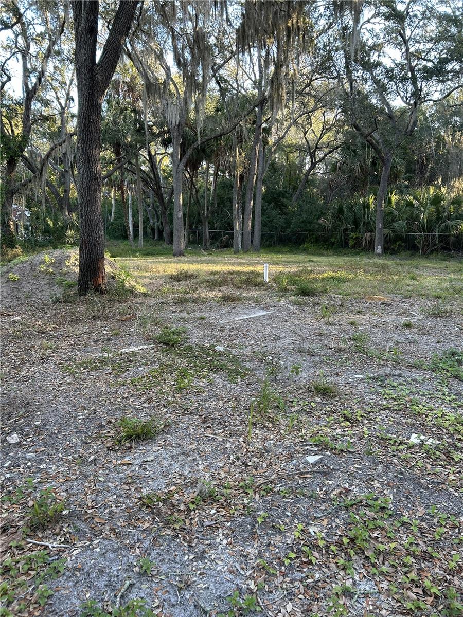 14428 Guava St Property Photo 7