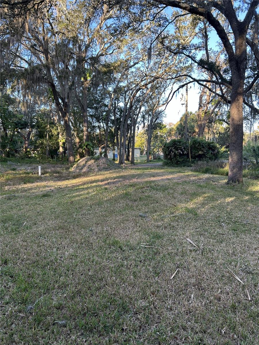 14428 Guava St Property Photo 11