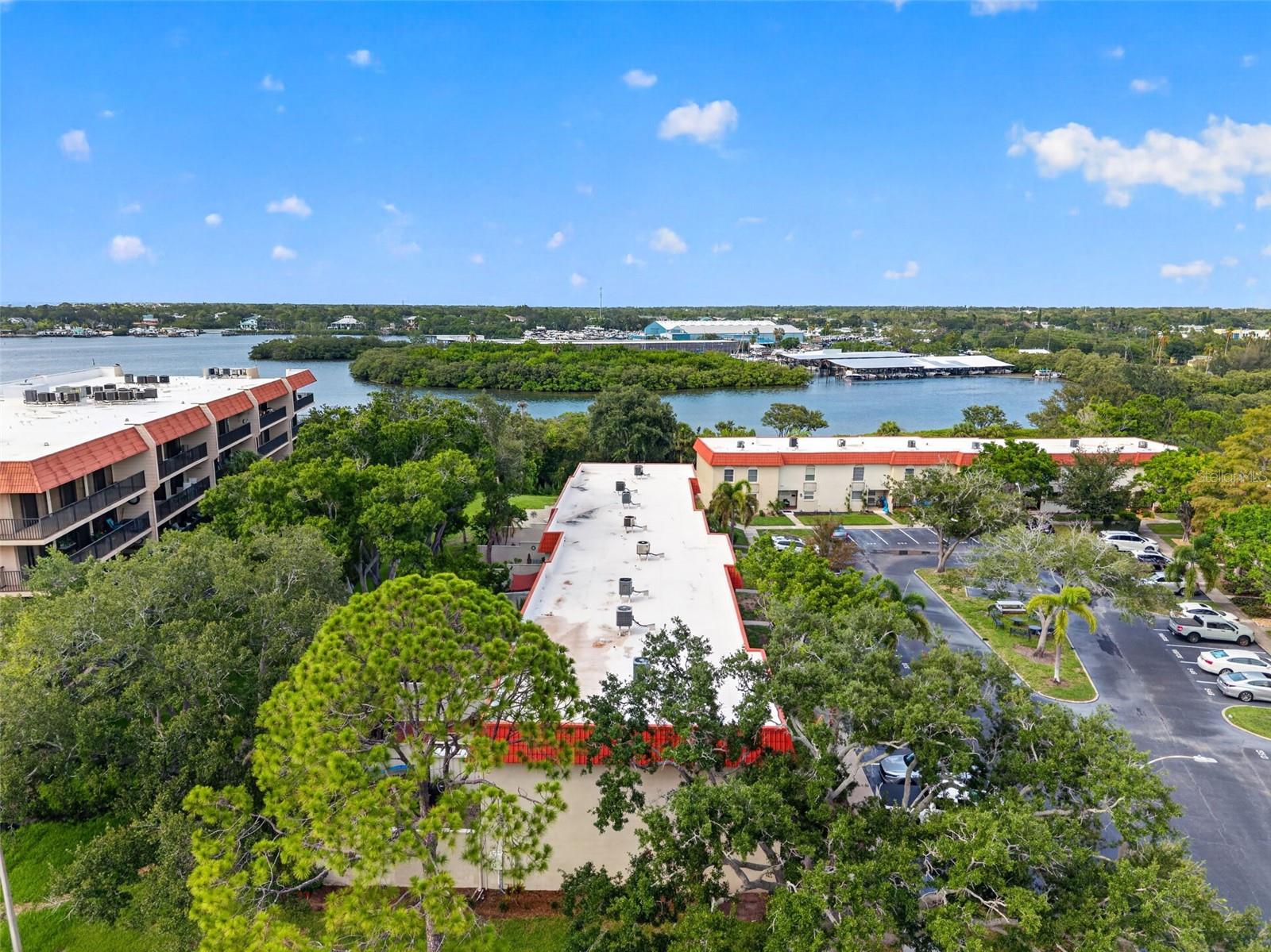 2700 Bayshore Blvd #512 Property Photo 34