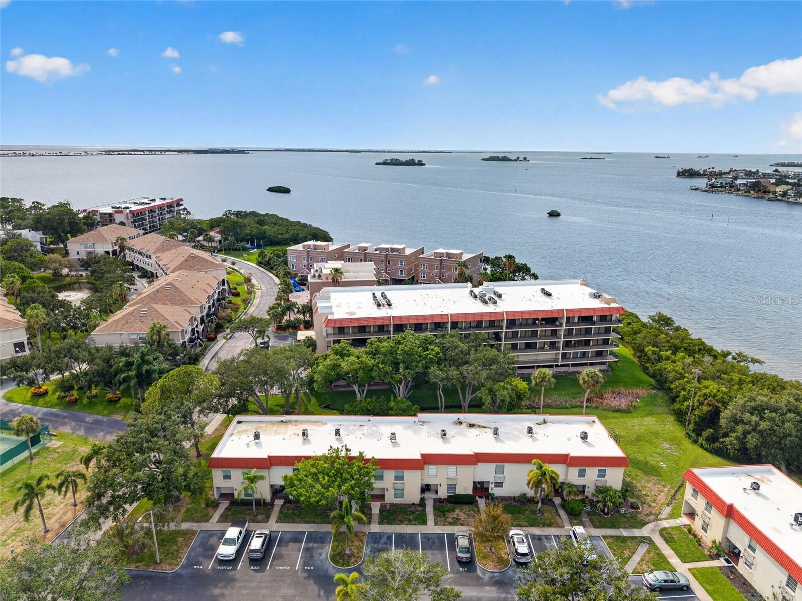 2700 Bayshore Blvd #512 Property Photo 35