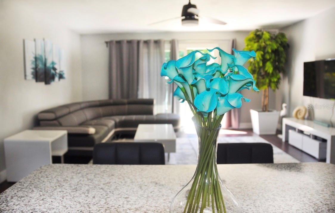 1237 Lotus Path Property Photo 9