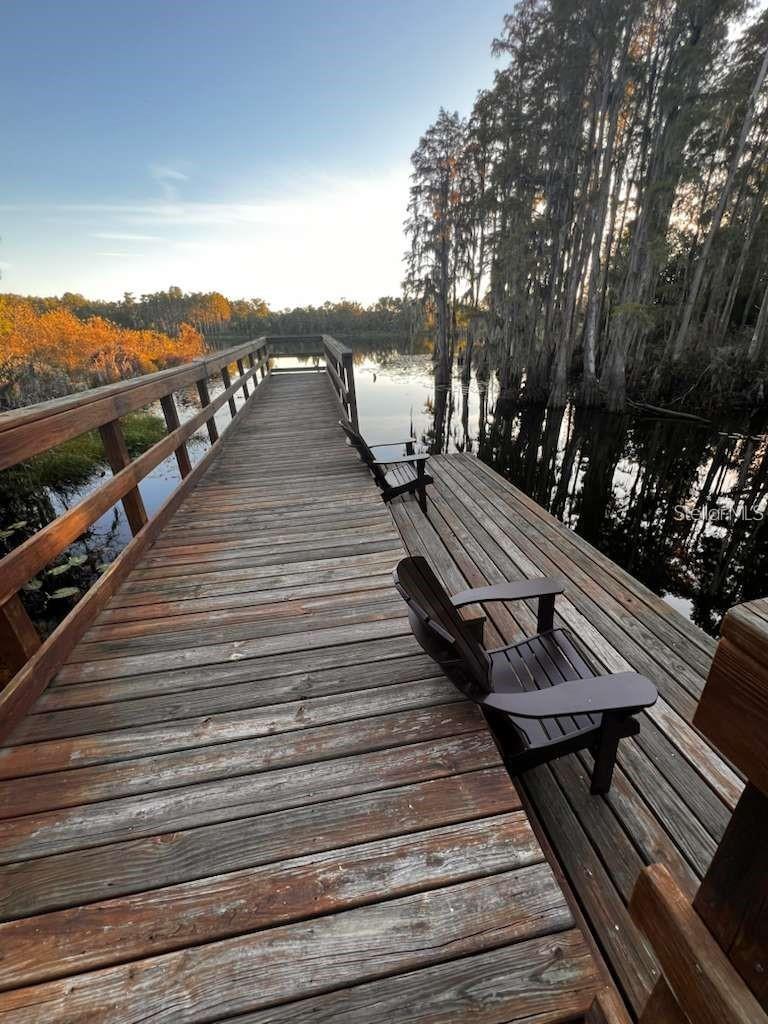 14234 Damselfly Dr Property Photo 37