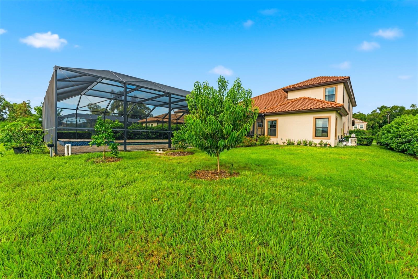 10370 Meadowrun Dr Property Photo 66