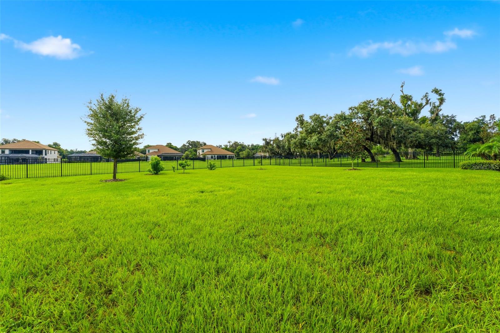 10370 Meadowrun Dr Property Photo 68