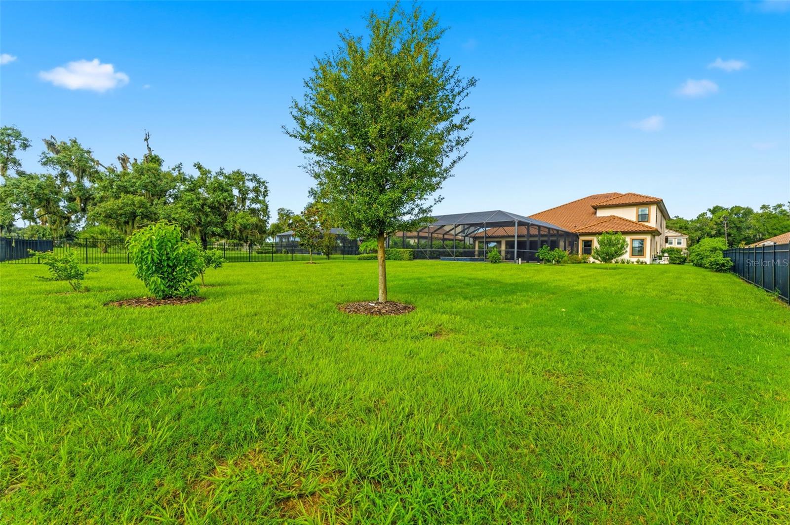 10370 Meadowrun Dr Property Photo 69