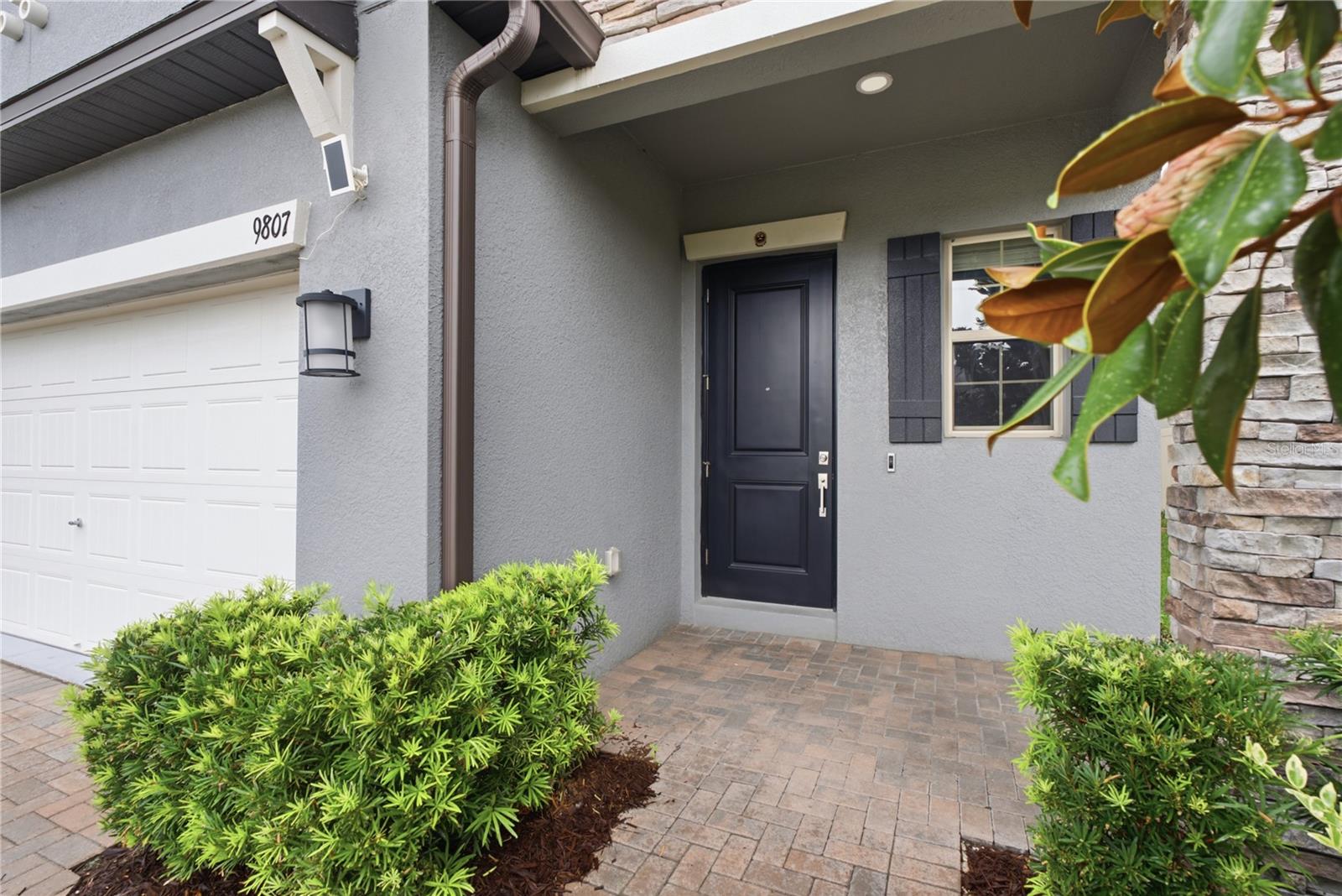 9807 Wild Begonia Loop Property Photo 4