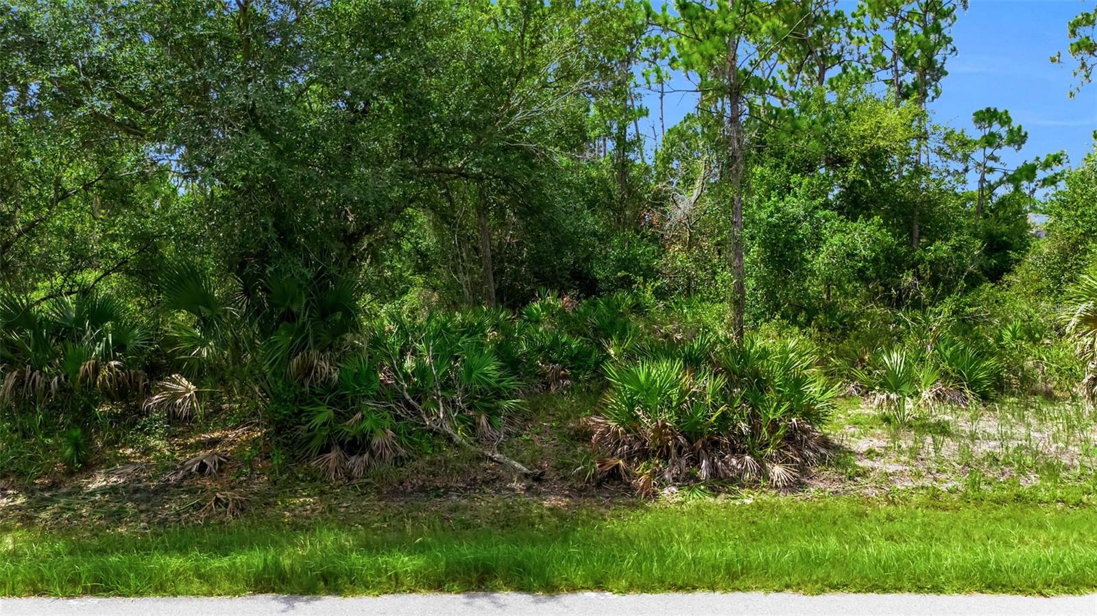 18337 Placid Ave Property Photo 2