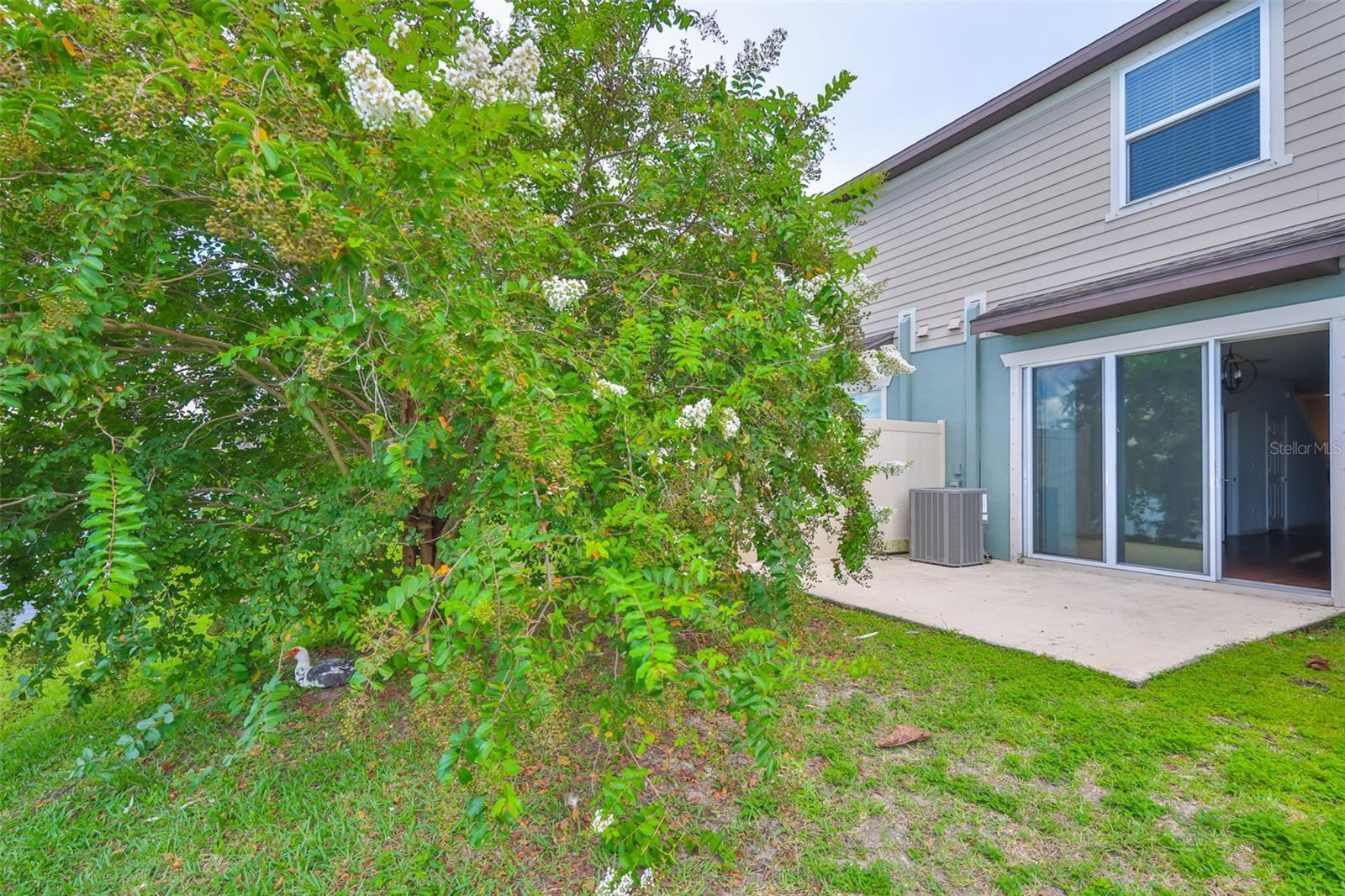 9160 Hillcroft Dr Property Photo 31