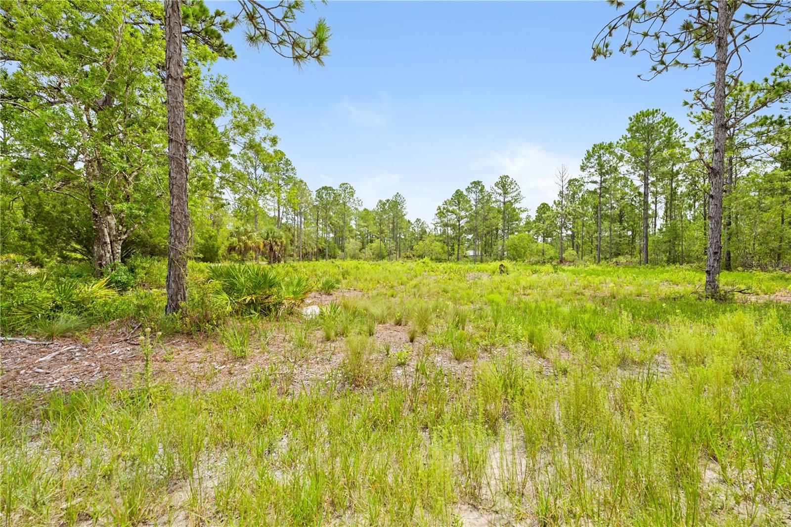 10052 YELLOWBIRD AVE Property Photo 1