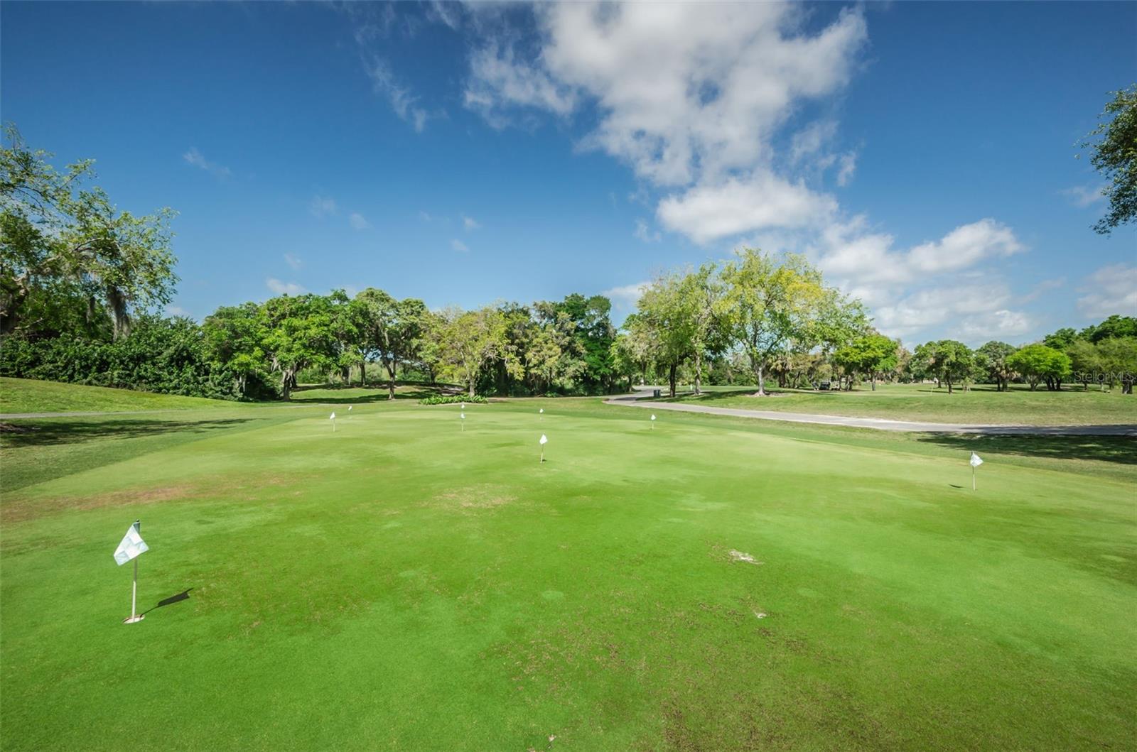 8136 Golf Club Ct Property Photo 99