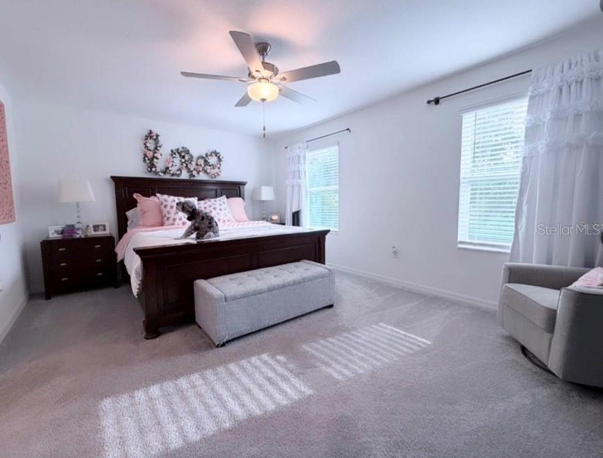 6047 Acara Ln Property Photo 8