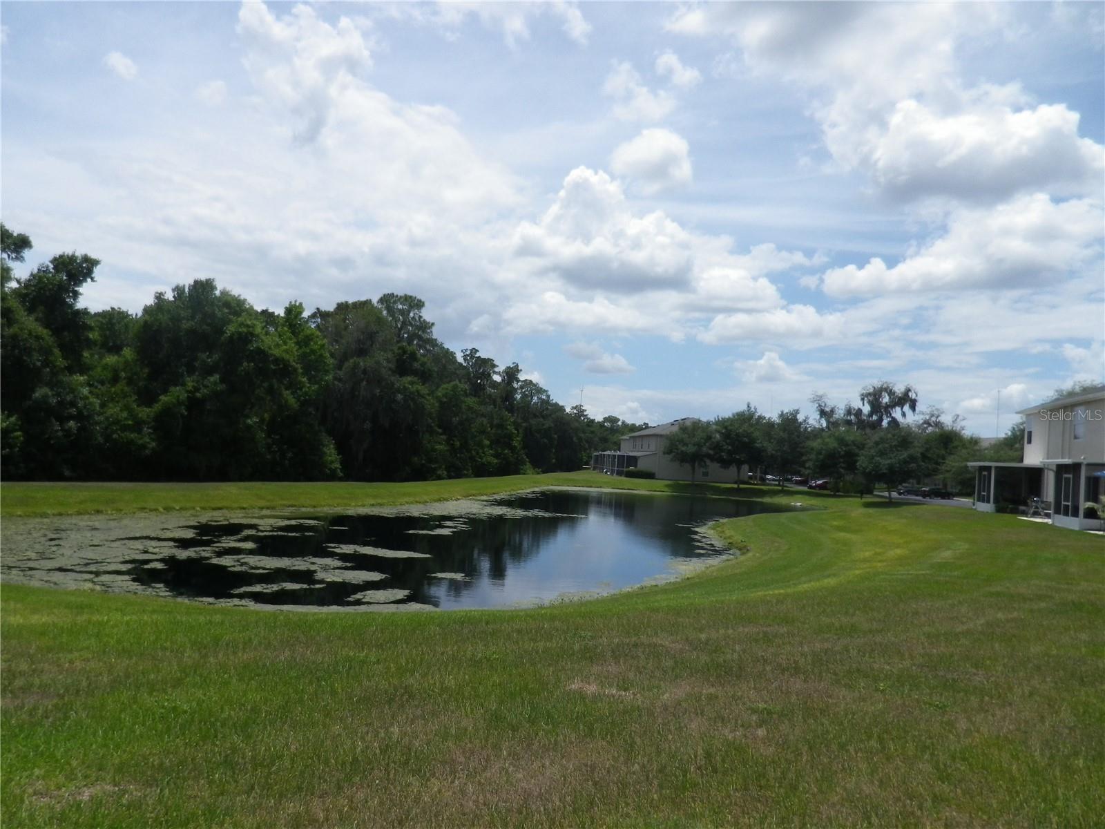 15965 Fishhawk View Dr Property Photo 16