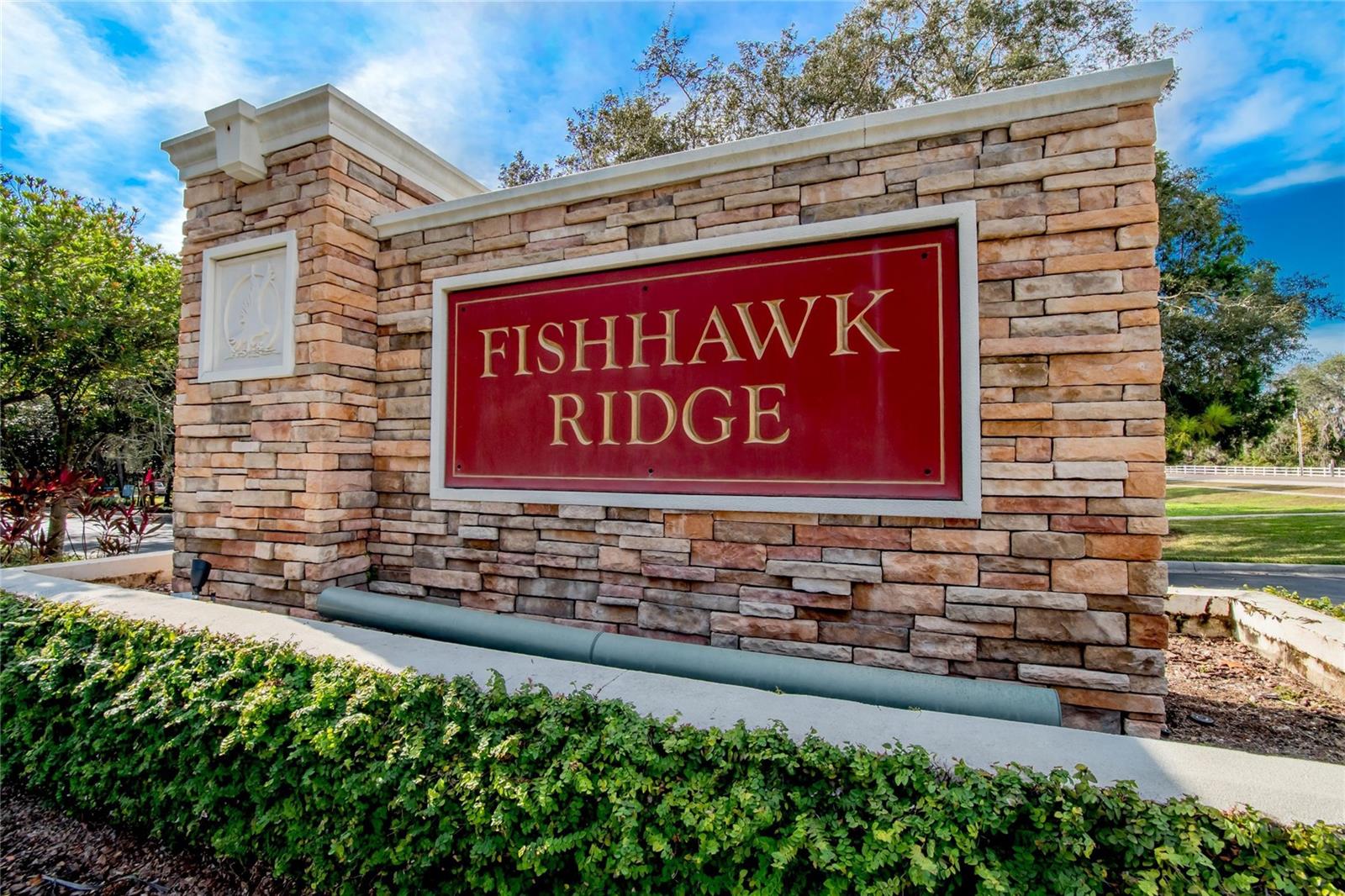 15965 Fishhawk View Dr Property Photo 17