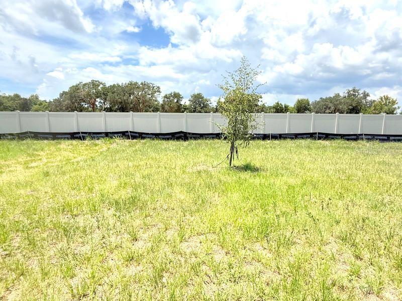 11913 Noble Chase Path Property Photo 22