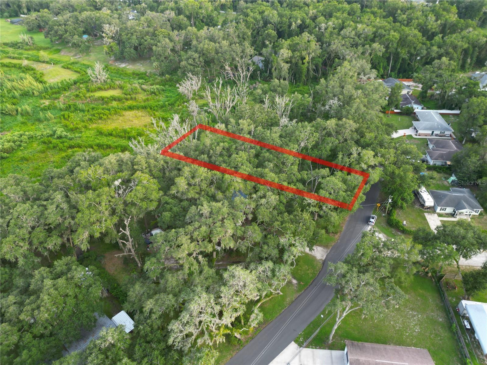 3352 E Lake Nina Dr Property Photo 4