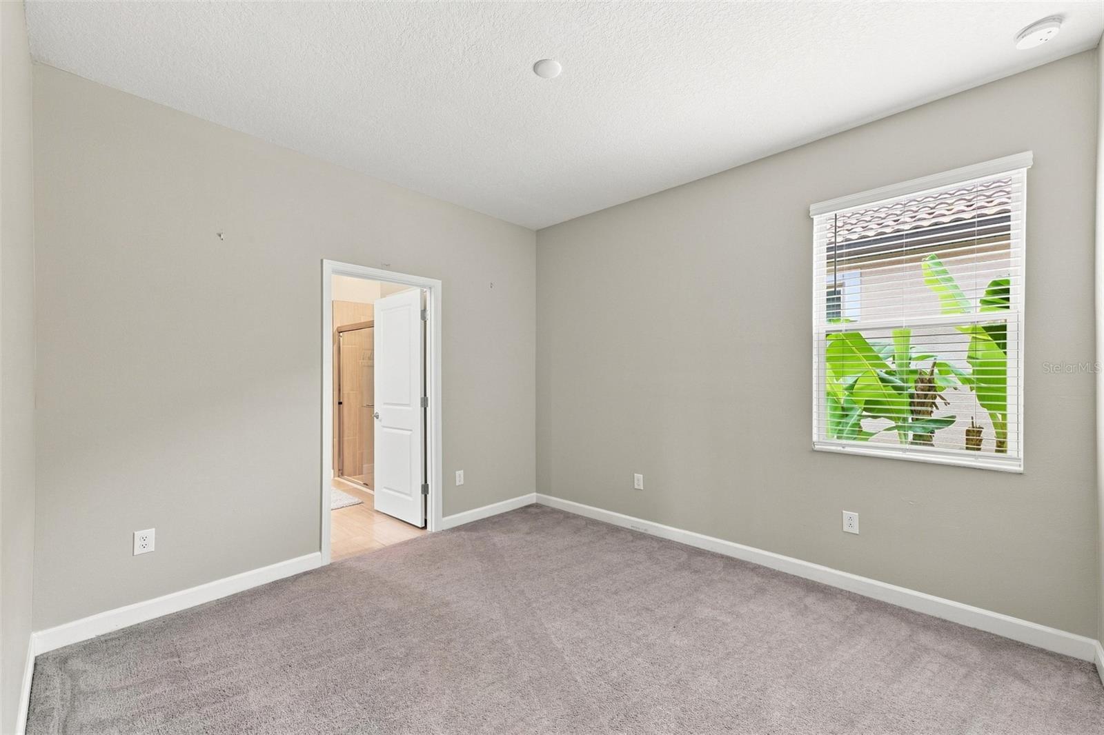 5231 Windy Grove Dr Property Photo 28