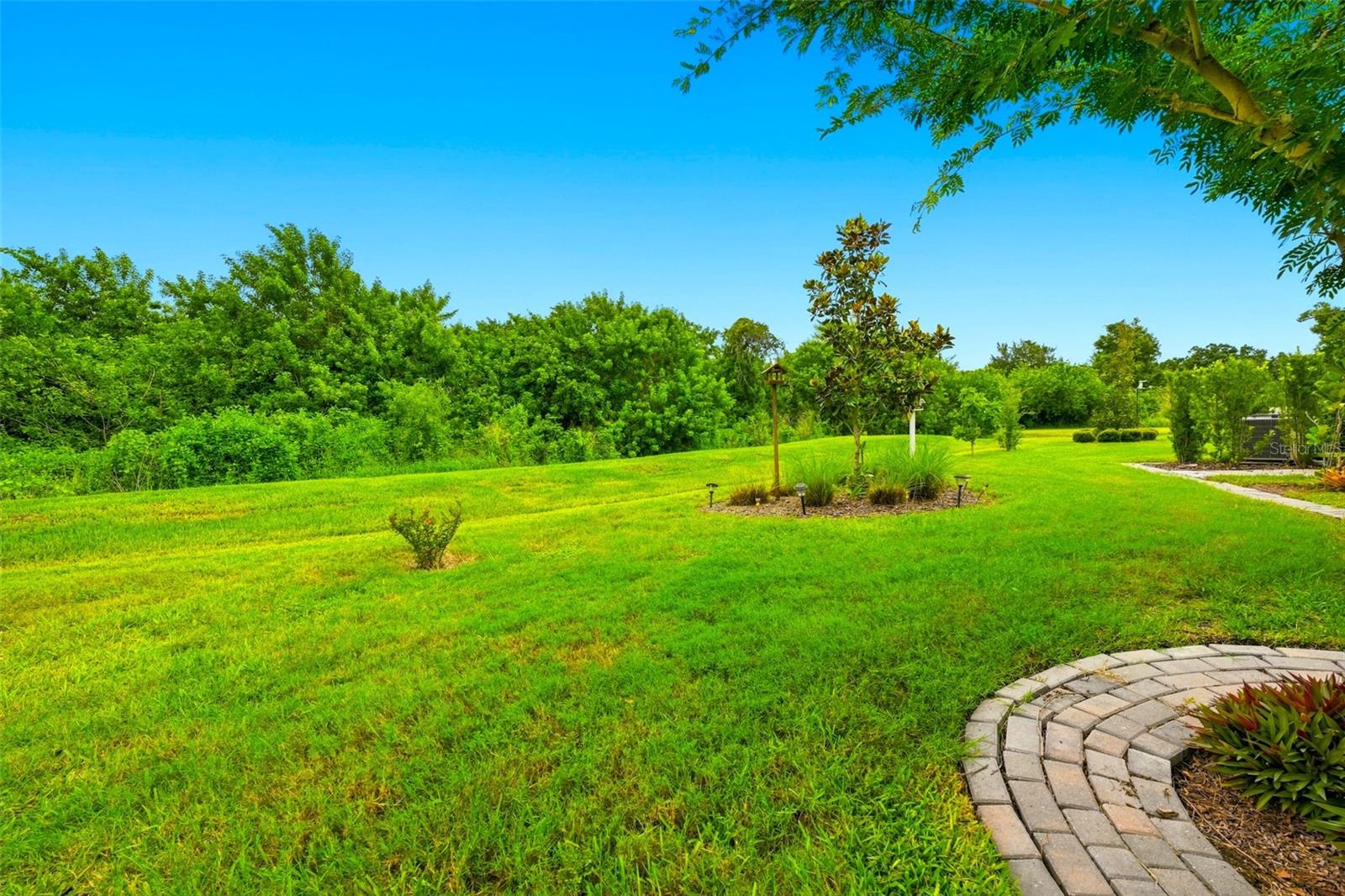 5231 Windy Grove Dr Property Photo 39