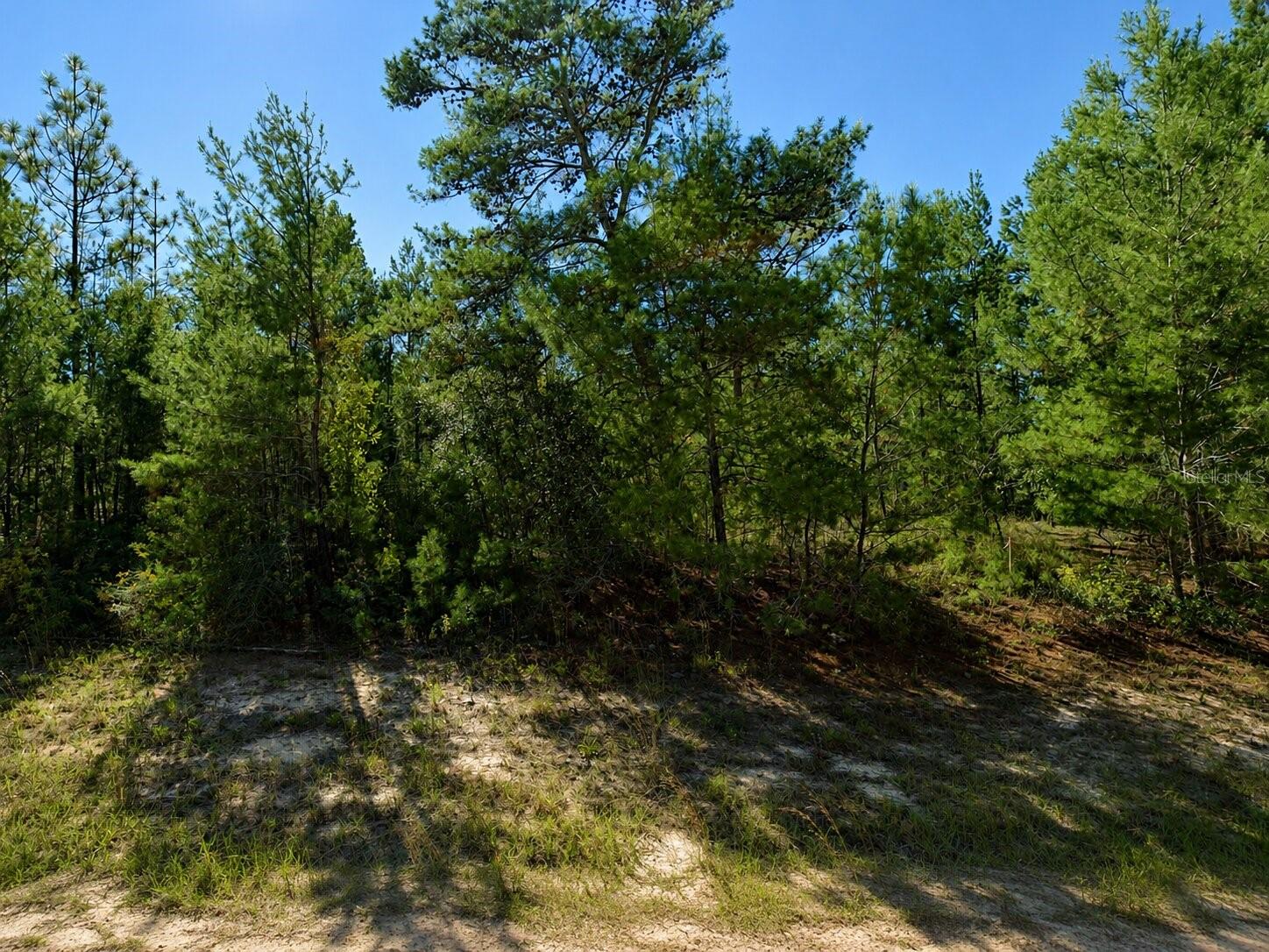ALLADIN DR Property Photo 1